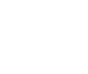 x-icon