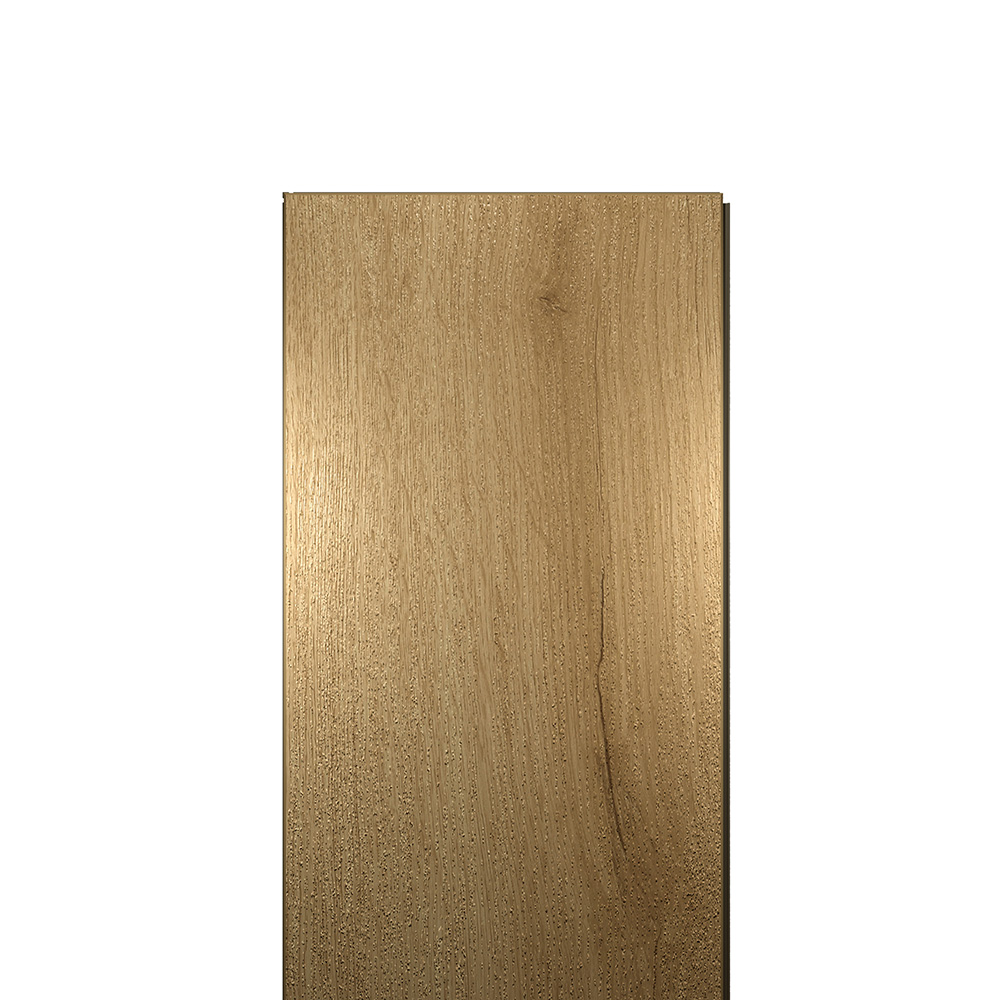 EWH-5619_00000