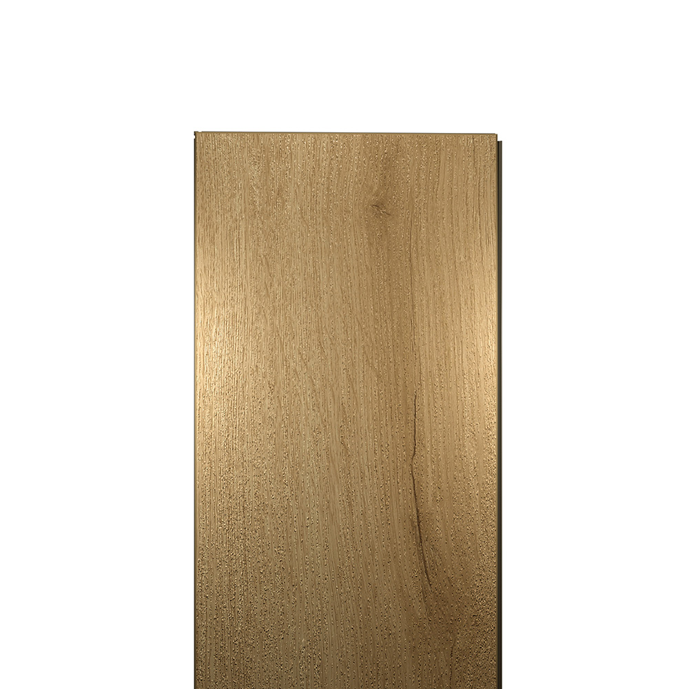 EWH-5619_00001