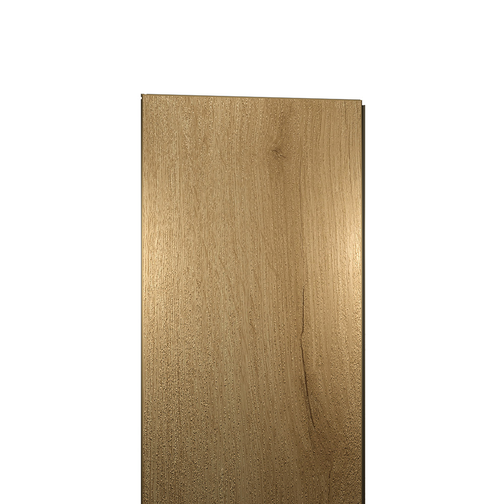 EWH-5619_00002
