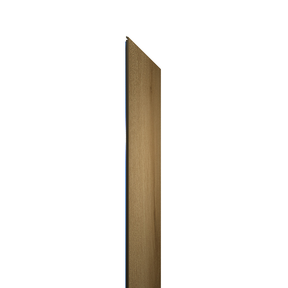 EWH-5619_00008