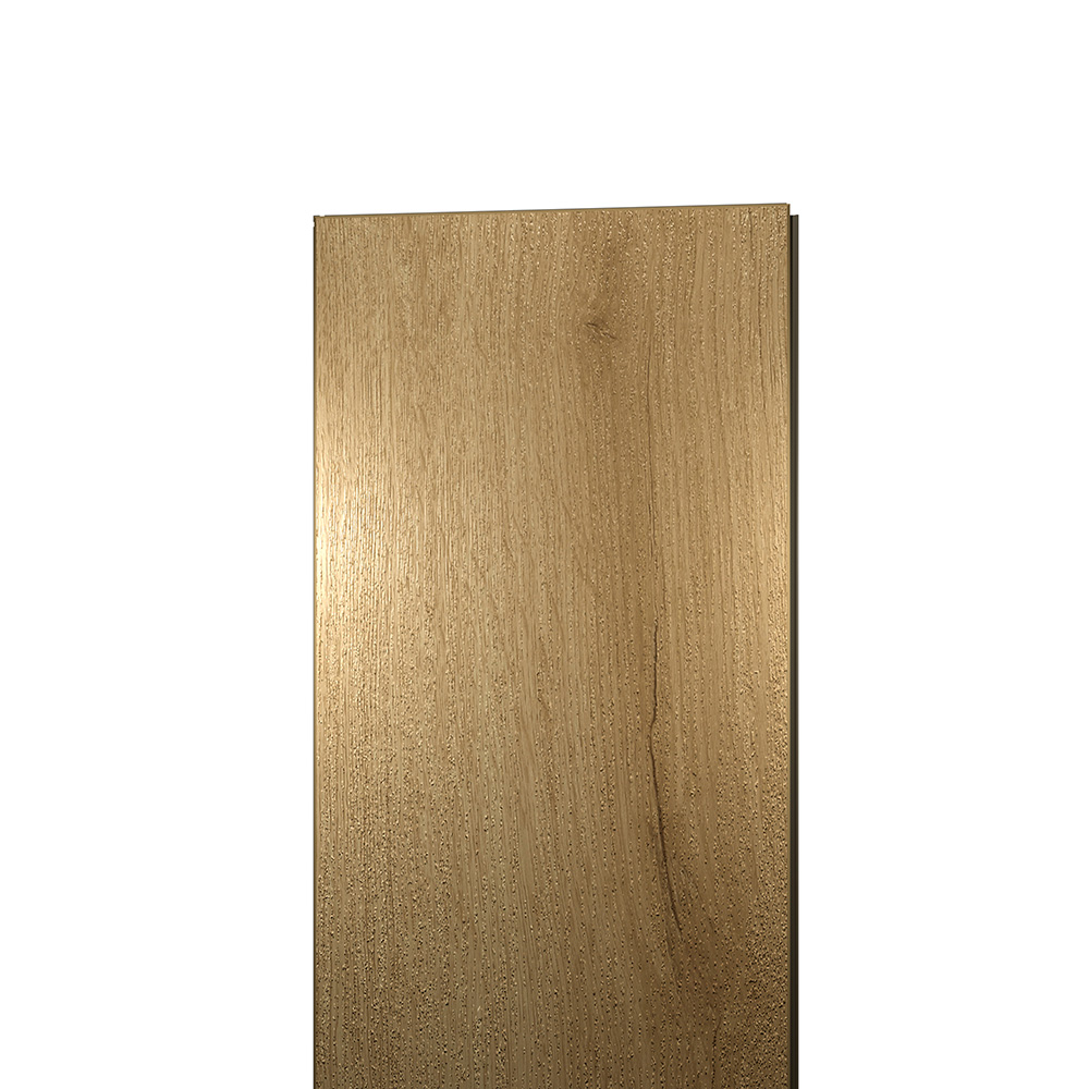 EWH-5619_00028