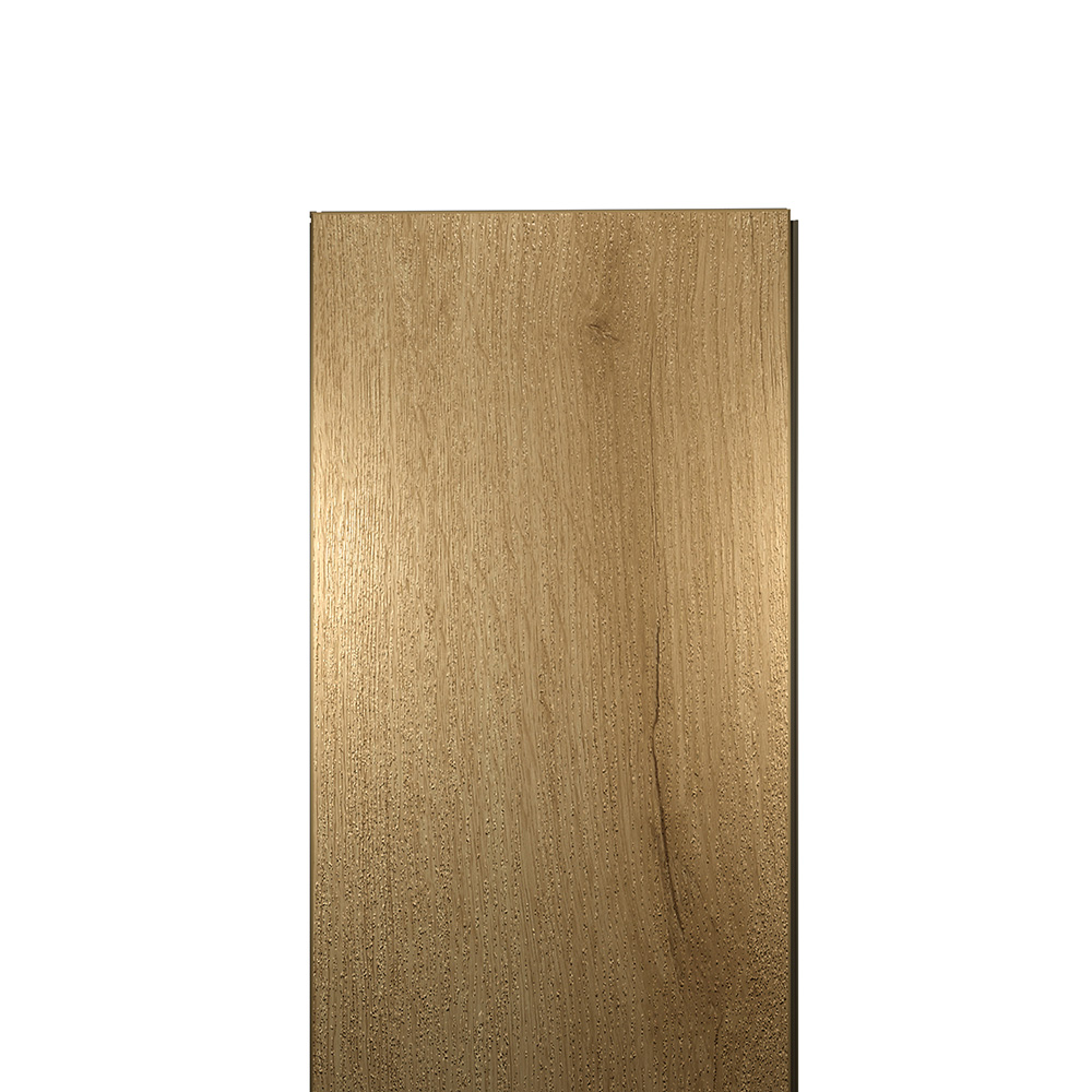 EWH-5619_00029