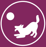 Pet Friendly Icon