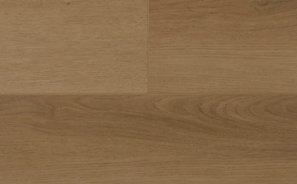 EWH-7119-1024×635